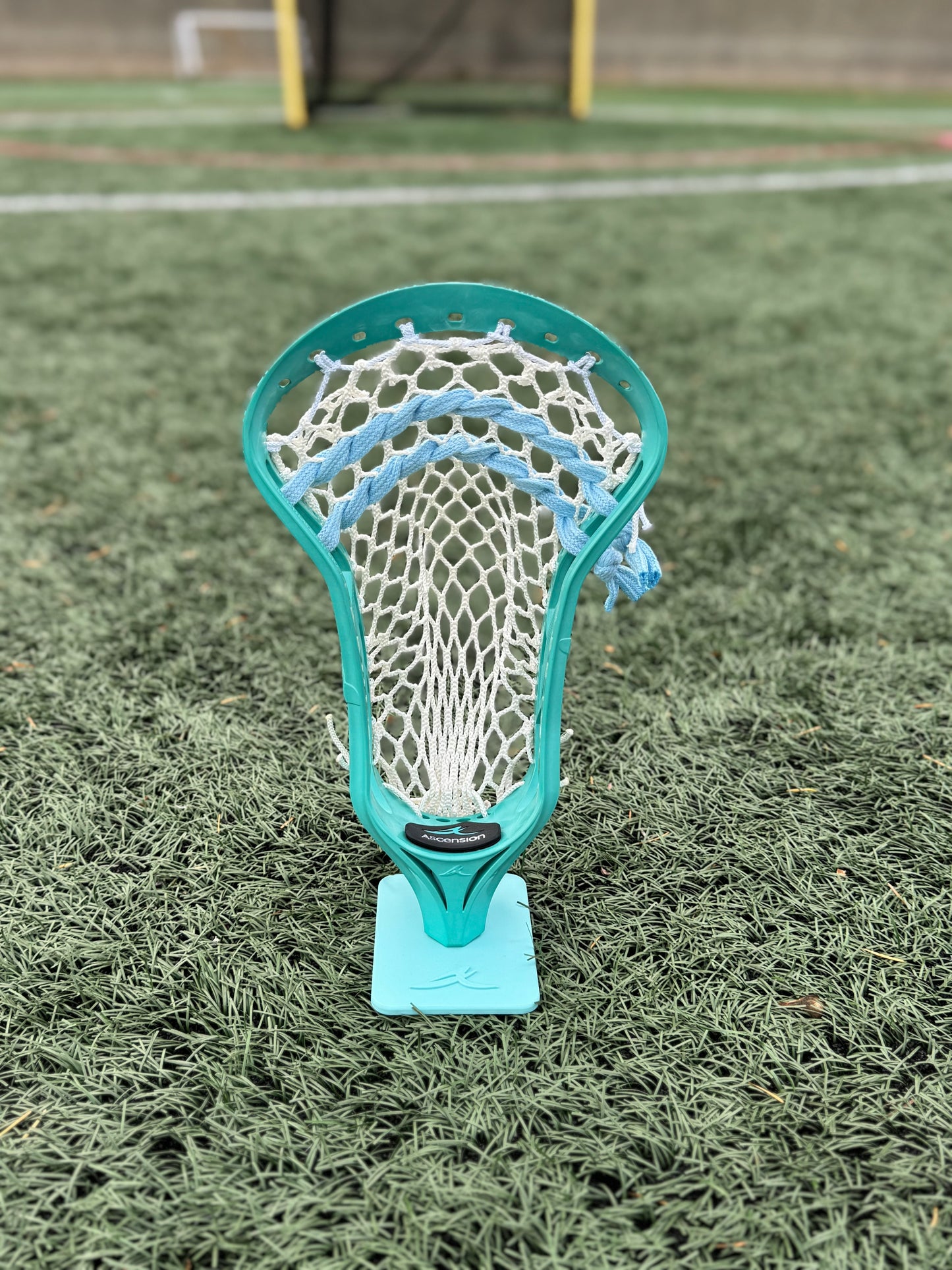 Alpha Ascension strung head